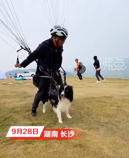 狗狗体验滑翔伞目瞪口呆 可以和小区的狗吹嘘很久