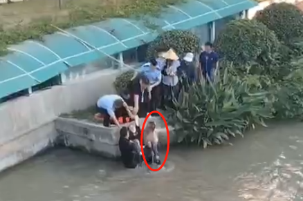 巧了！女子点赞“救人英雄”，仔细一看竟是自己丈夫