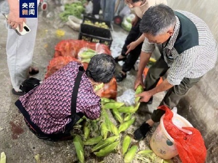 温暖后续 重庆“背篓菜市”开市了