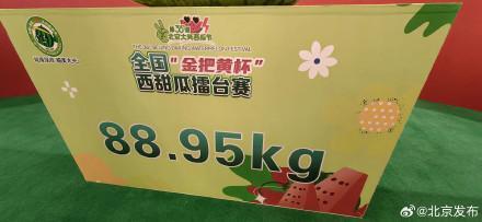 177.9斤!“瓜王”诞生 北京大兴庞各庄镇瓜农夺魁