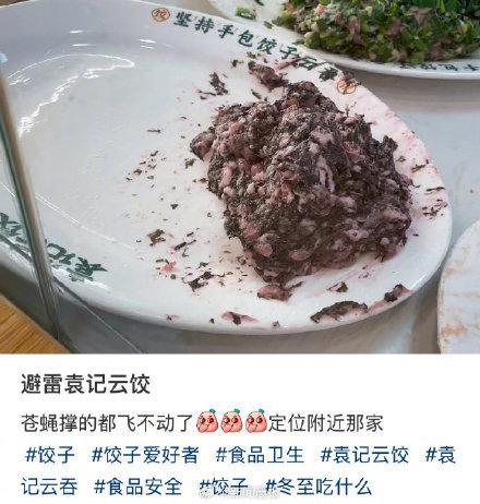 袁记云饺回应饺子馅上飞苍蝇：会严肃批评并责令改正