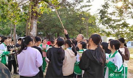 广东罗定发现植物界“活化石”松叶蕨 古老珍稀物种现身校园