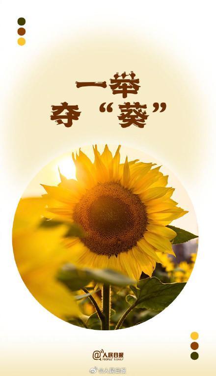 端午节后上班第1天！你有一份夏日谐音祝福待查收