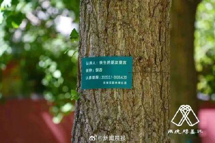 莫言真的在地坛认养了一棵银杏树 文学情谊的浪漫见证 ，英国将喷气式飞机等资源向中