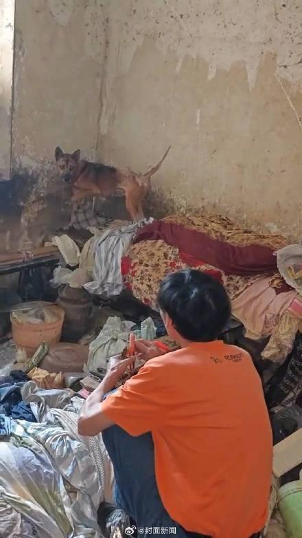 救助者回应老人去世小狗坚守家中