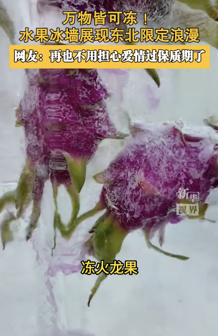 原来东北除了玫瑰冰瀑还有水果冰墙