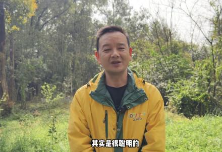 老虎版“没头脑”“不高兴”火出圈 双胞胎虎萌态引热议