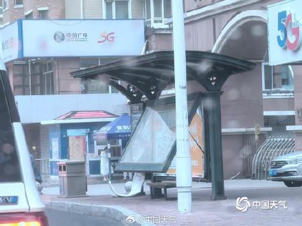 东北的风为何这么强这么持久 冷涡与气旋共舞