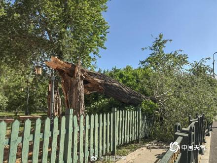 东北等地大风为何这么强 冷涡与气旋共舞