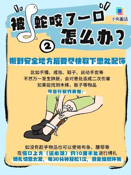 医生提醒毒蛇咬伤绝不能用嘴吸 正确方法戳这里