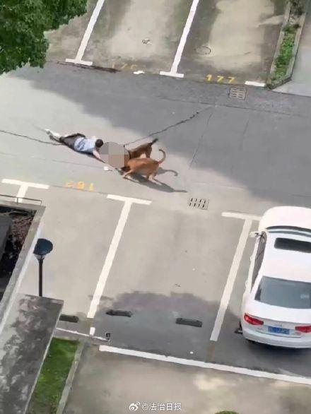 警方通报上海男童被犬咬伤 案件正在进一步侦办中