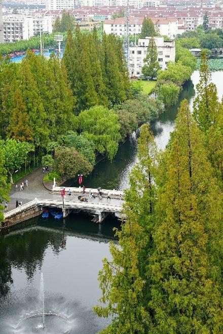 上海多所高校迎来大学生报到小高峰 数万新生解锁人生新程