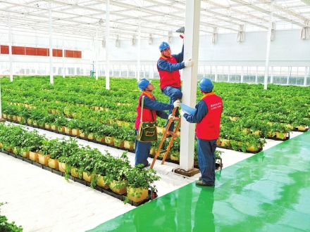 检查用电设备 助力用电安全