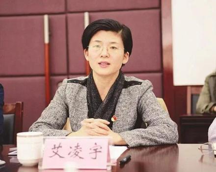 艾凌宇任临汾市人大常委会党组书记