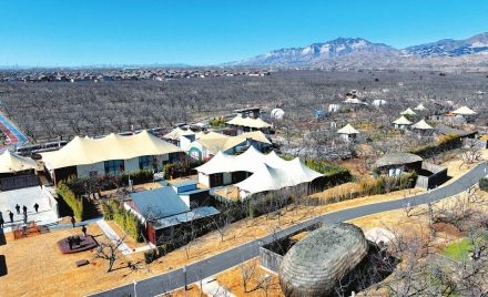 板枣公园 生态庭院