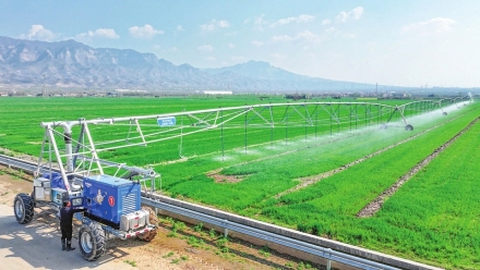 给麦田喷灌和施肥