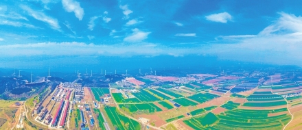 青禾沐雨 生机盎然