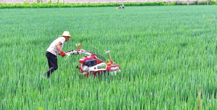 除草培土