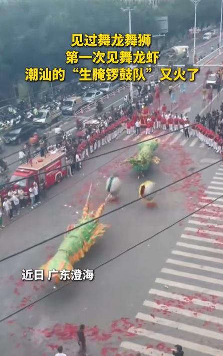 见过舞龙舞狮第一次看见舞龙虾