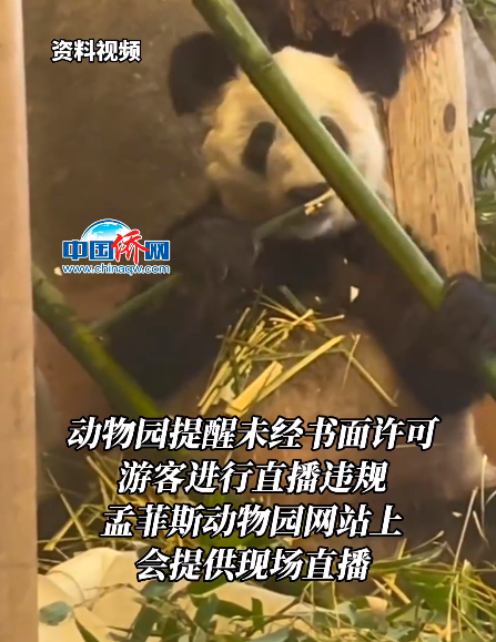 园方禁止无许可直播丫丫