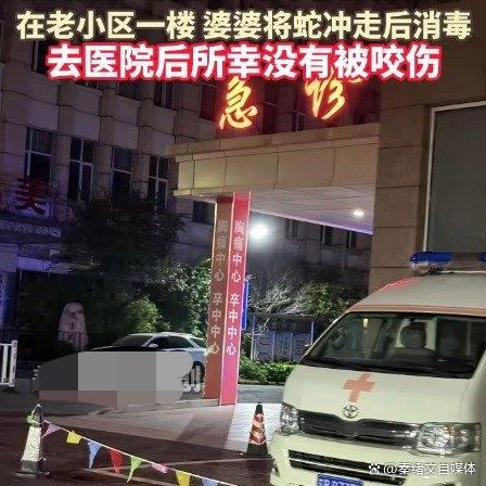 女子回应半夜上厕所被蛇顶到屁股