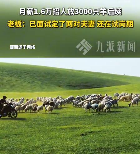 月薪1.6万放羊已有两对夫妻试岗