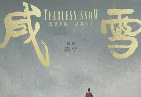 咸雪电视剧剧情介绍，《咸雪》故事梗概