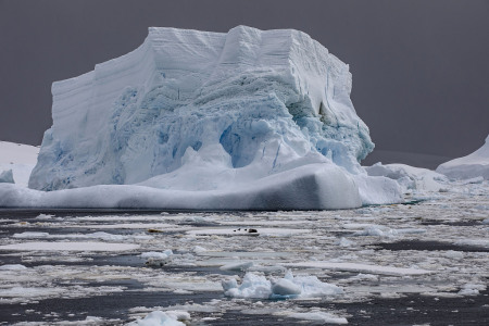 Hitzewelle in der Antarktis: Eisschelf bricht ab