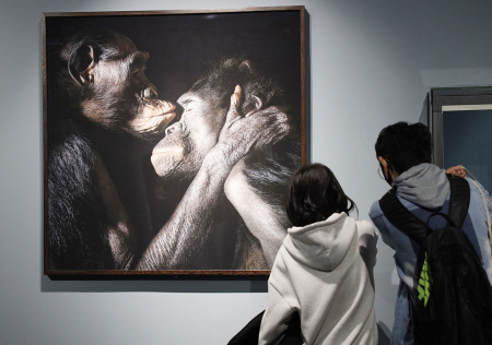 Fotoausstellung über vom Aussterben bedrohte Tierarten