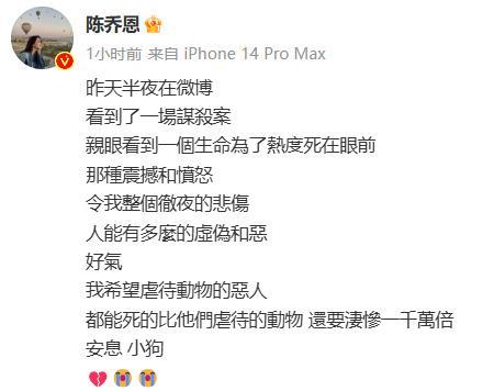 網(wǎng)紅小狗艾特遺體已被原主人接回家 直播中意外離世引發(fā)關(guān)注