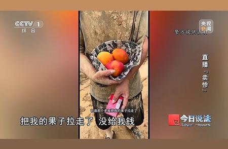 央视起底网络卖惨营销乱象 虚假人设博同情