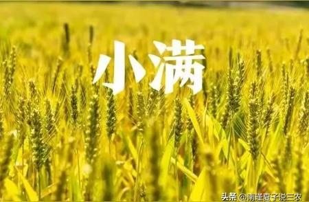 2025夏季有大澇嗎,？小滿節(jié)氣一過,，雨水明顯就多了