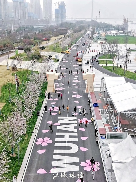 武汉马拉松含樱量极高
