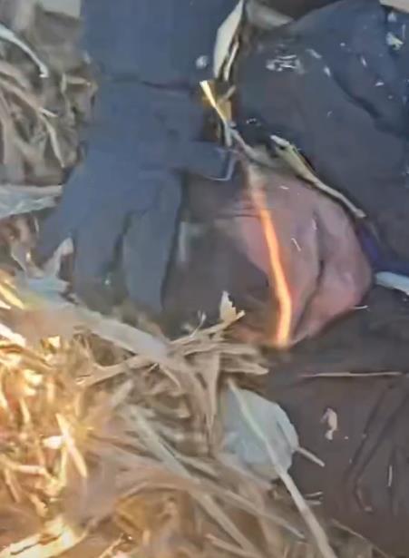 吉林男子兩天殺兩人 被捕畫面曝光 嫌疑人已被抓獲