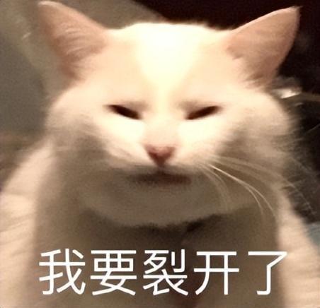 餐廳推蟹黃小籠包拌面 網(wǎng)友瘋狂吐槽 創(chuàng)意混搭引爭議