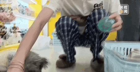中国制造便携空调热销欧洲 易安装低能耗成亮点
