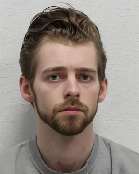 中國女留學(xué)生王哲遇害 美男友謀殺罪成