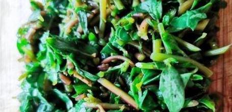 春天野菜马齿苋正当时，炒鸡蛋简单又美味，营养丰富赶紧学！