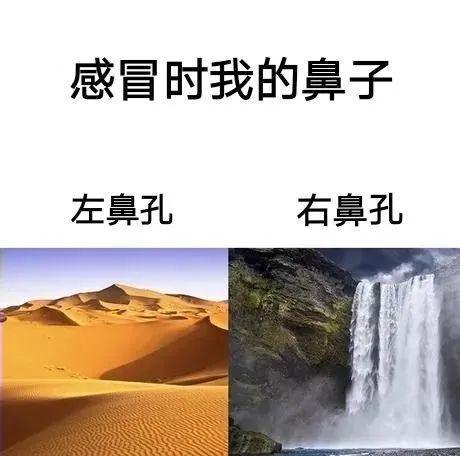 流感高发期你中招了吗 甲流占比99%持续上升