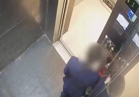 服务员调包3瓶茅台被强制措施 案件细节曝光