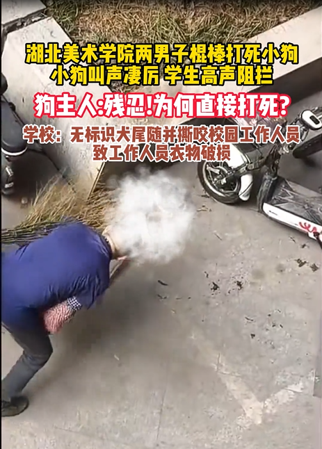 曝湖北一学院保安打死幼犬 校方回应：无标识犬