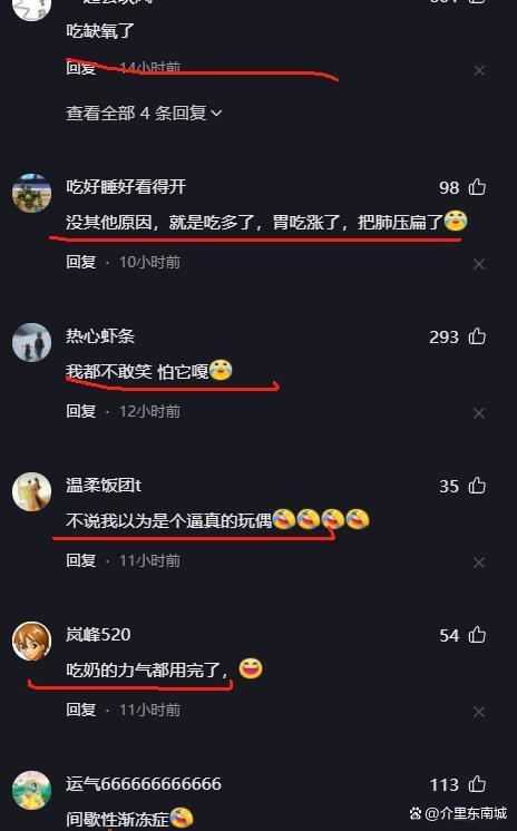 出生2天的小奶狗吃完奶就发硬 人工呼吸成救命关键