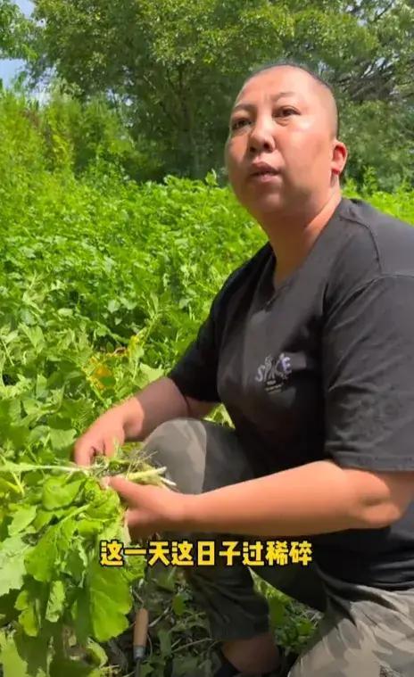 东北雨哥回应模仿东北雨姐 纯属巧合，否认蹭流量打算