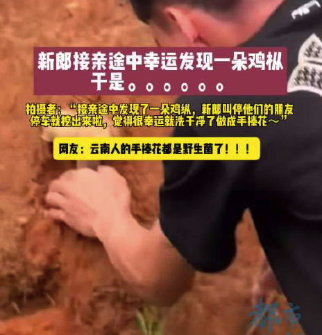 新郎接亲途中捡到鸡枞菌做成手捧花 网友：云南人手捧花卷到野生菌领域了