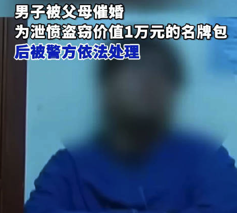 男子被父母催婚 為泄憤盜竊名牌包被警方依法處理