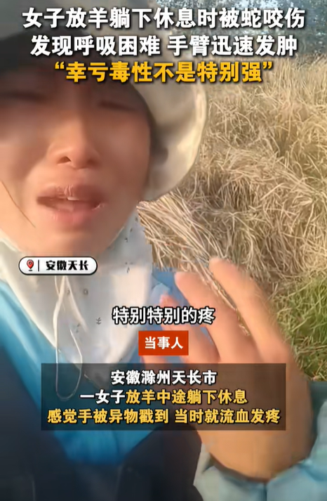 女子放羊躺下休息被蛇咬 提醒戶外安全與急救知識