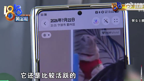 顾客称宠物友好商场对人不友好 “万象汇”什么态度？
