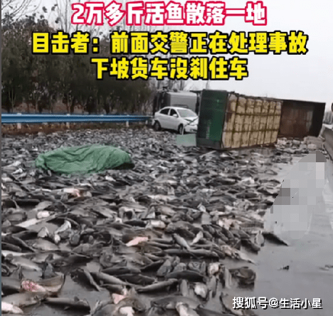 河南一货车雨雪天侧翻 2万多斤鱼撒落一地