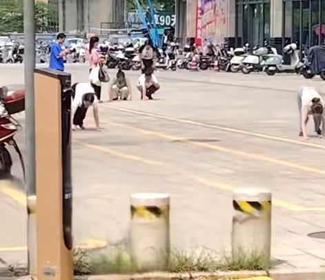 多人爬行学狗事件涉事企业道歉