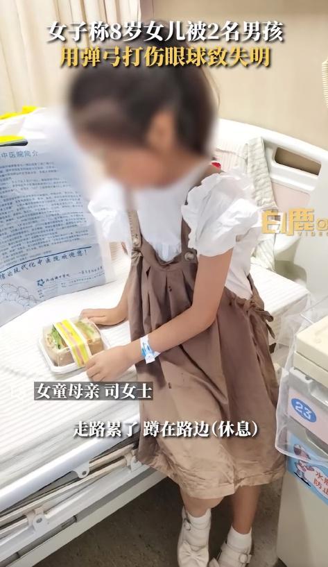 女童被弹弓打致失明后续 派出所：已立案处理
